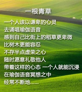柏忠言谈《一根青草》