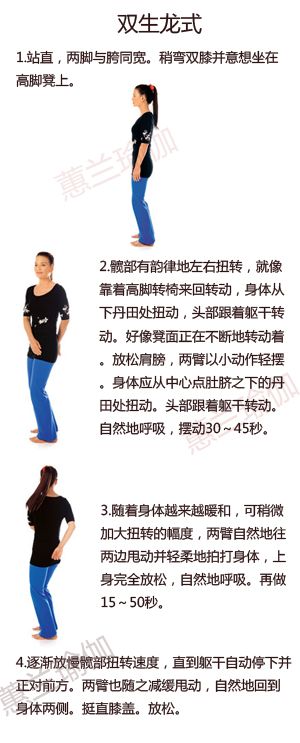 双生龙式