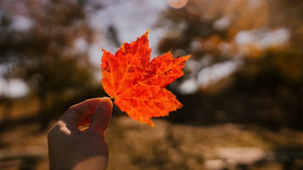 我依照老师的教导