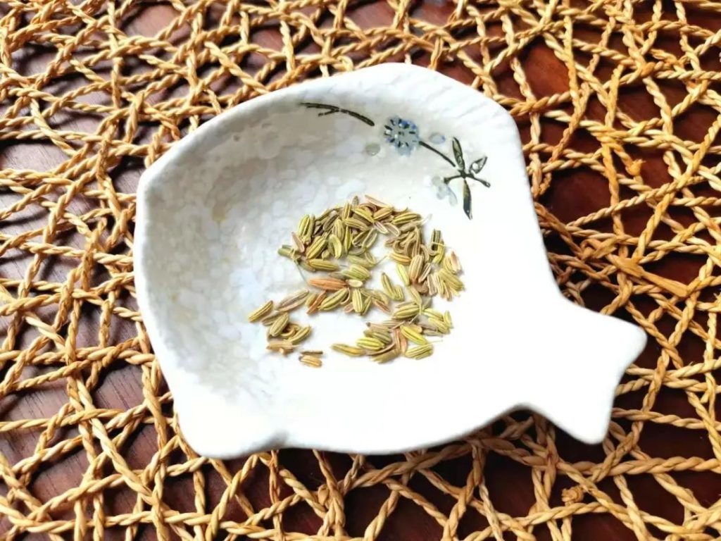 小茴香茶