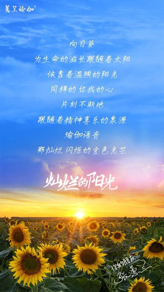 向日葵