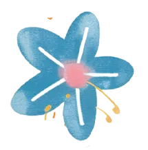 ͼƬ